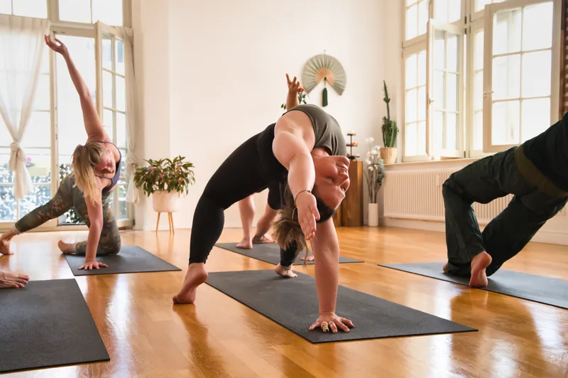 Vinyasa Yoga Level 1 mit Caro - Wild Thing im Kurs
