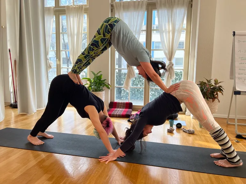 Partner Yoga Ausbildung – Termin 2